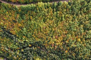 KÜTAHYA (AA) – Gediz ilçesindeki Murat Dağı, son baharın gelmesiyle