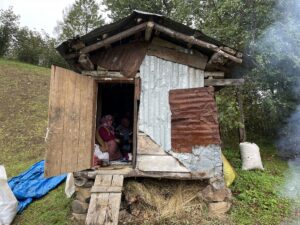 ORDU (AA) – EYÜP ELEVLİ – Ordu'nun yüksek kesimlerinde yaşayan