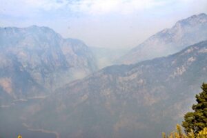 OSMANİYE (AA) – Osmaniye'nin Düziçi ilçesinde 3 gün önce çıkan