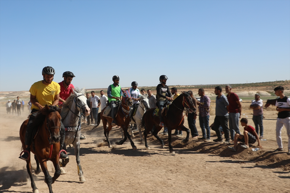 Rahvan At Yarışları, Gaziantep'te yapıldı