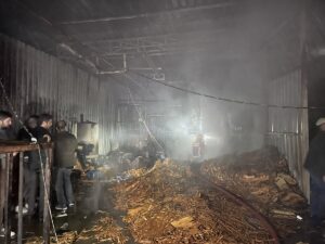 SAKARYA (AA) – Sakarya'nın Akyazı ilçesinde tek kullanımlık ahşap kaşık