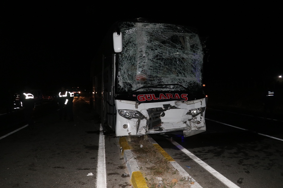 Sivas'ta yola çıkan at kazaya neden oldu: 15 yaralı