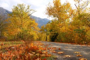 ADANA (AA) – Adana'nın Pozantı ilçesindeki Belemedik Tabiat Parkı, sonbahar