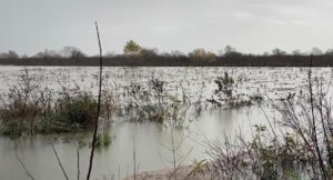 TİRAN (AA) – Arnavutluk'ta etkili olan sağanak ve fırtınanın ardından