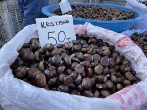 SİNOP (AA) – Sinop'un Ayancık ilçesinde gal arısı zararlısı nedeniyle