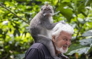 BALİ (AA) – ALİ KEMAL AKAN – Endonezya'nın dünyaca bilinen