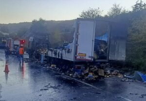 BİLECİK (AA) – Bilecik'te seyir halindeyken alev alan tavuk eti