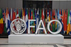 ROMA (AA) – BARIŞ SEÇKİN – Birleşmiş Milletler (BM) Gıda