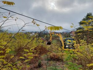 SARAYBOSNA (AA) – Bosna Hersek'in Vişegrad şehri yakınlarında 1992-1995 Bosna
