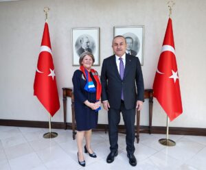 ANKARA (AA) – Dışişleri Bakanı Mevlüt Çavuşoğlu, Avrupa Konseyi Parlamenter