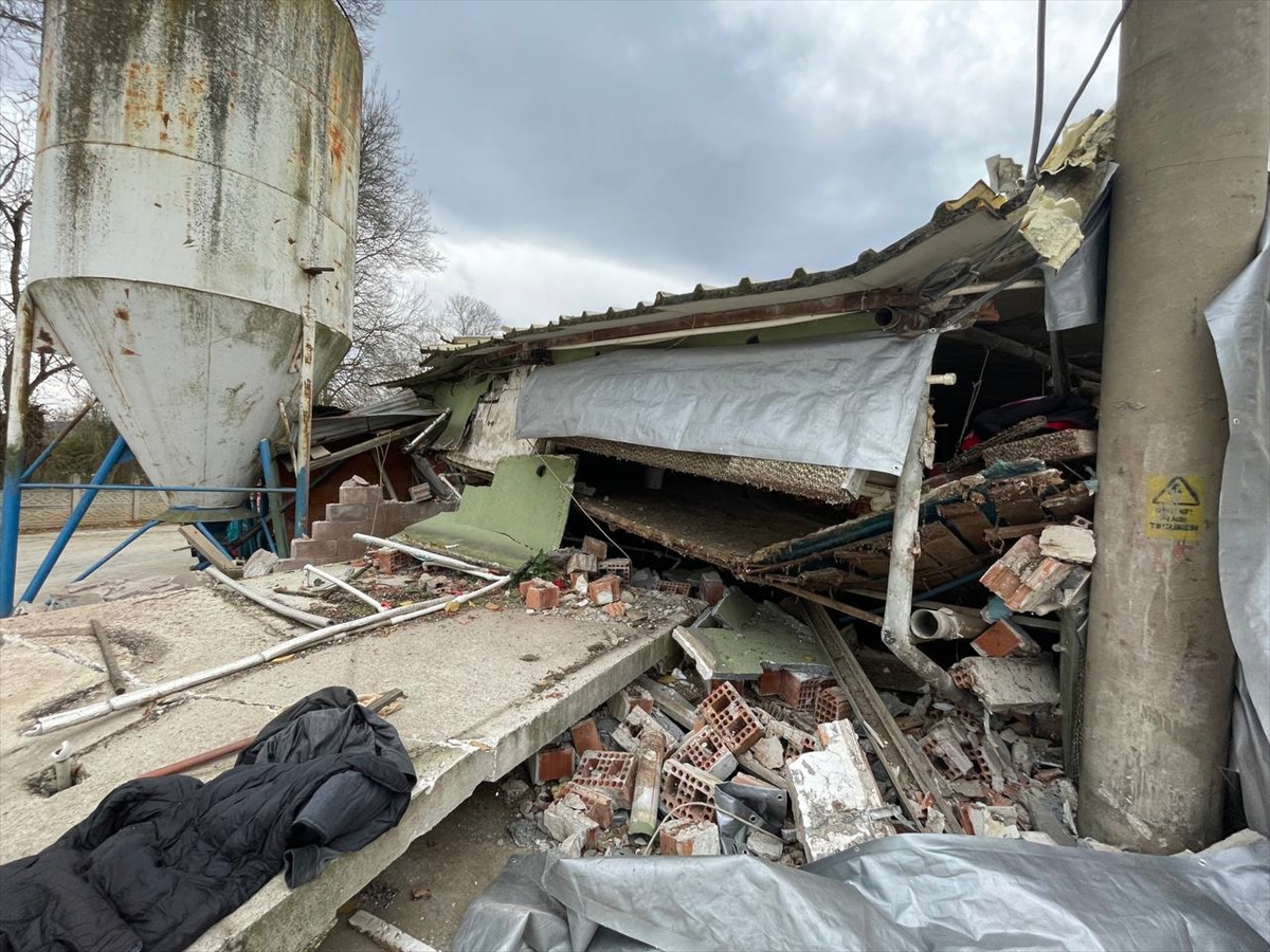 Düzce'de depremde çöken kümesteki binlerce civciv telef oldu