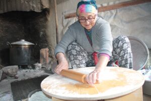 ERZİNCAN (AA) – Erzincan'ın Kemah ilçesi kırsalında kadınlar, köylerinde bakkal