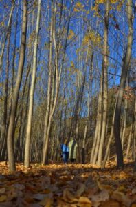 KAHRAMANMARAŞ (AA) – Afşin'de amatör fotoğrafçılar, sonbahar renklerinin hakim olduğu