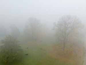 DÜZCE (AA) – Düzce'de Efteni Gölü havzasında bulunan, sonbahar renklerinin