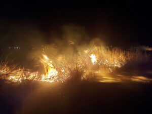 HATAY (AA) – Hatay'ın Samandağ ilçesinde sazlık alanda çıkan yangın