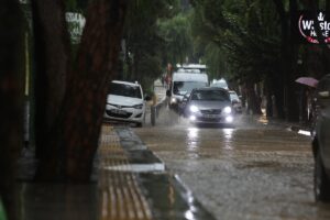 İZMİR (AA) – İzmir'in Konak, Bornova, Bayraklı ve Buca ilçelerinde