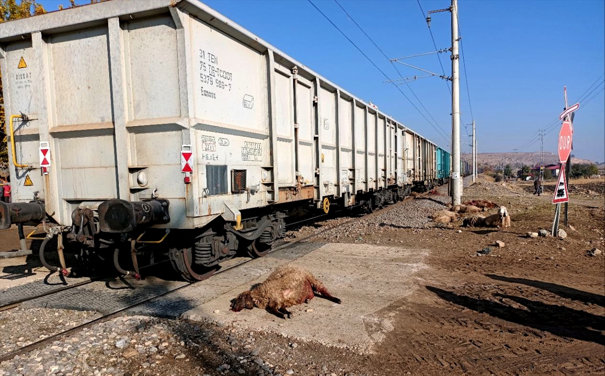 Kahramanmaraş'ta hemzemin geçitte trenin çarptığı çoban öldü