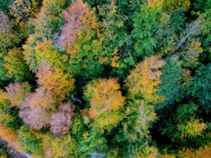 KASTAMONU (AA) – Kastamonu'nun Cide ilçesinde yer alan Loç Vadisi'ni