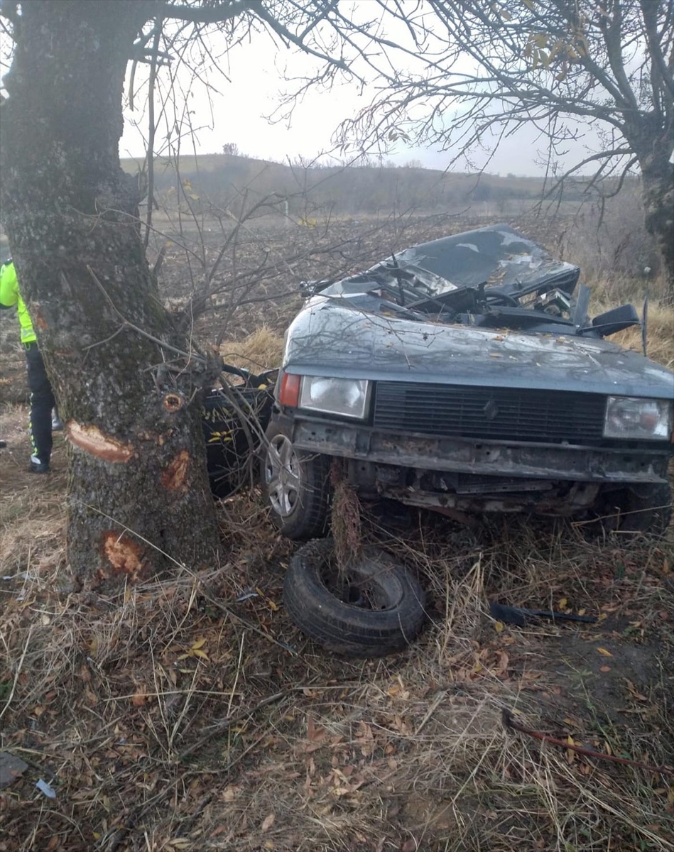 Kırklareli'nde ağaca çarpan otomobilin sürücüsü öldü