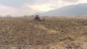 KAHRAMANMARAŞ (AA) – Kahramanmaraş'ta belediyeye ait arazileri tarla vasfına dönüştürerek