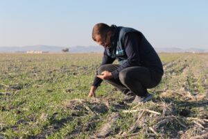 KONYA (AA) – Türkiye'nin hububat üretimiyle ön plana çıkan Konya