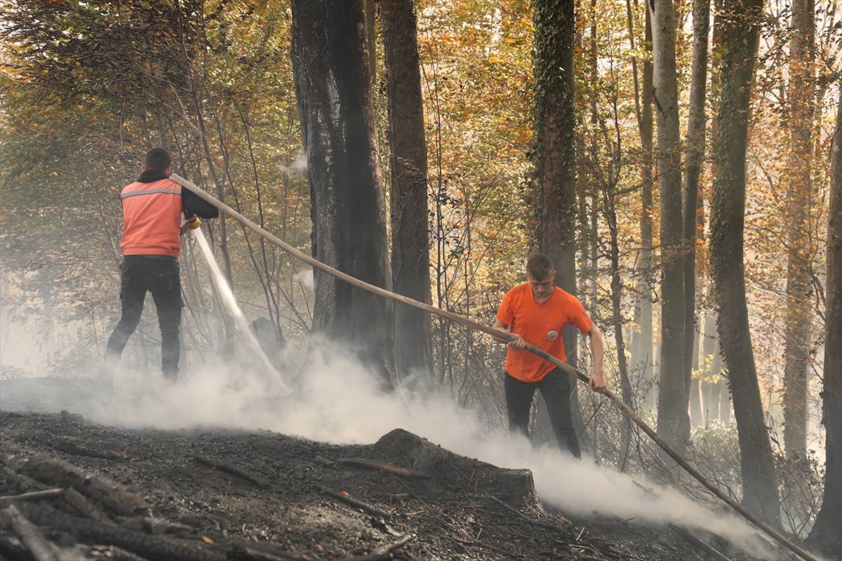 Sakarya'da 2,5 dönümlük ormanlık alan yandı