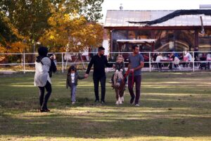 KONYA (AA) – Konya'nın Ereğli ilçesinde yarış atı yetiştirme çiftlikleri