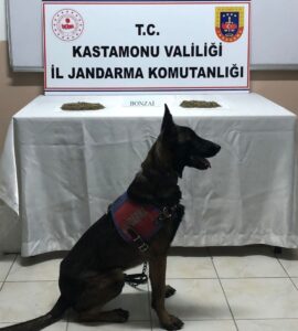 KASTAMONU (AA) – Kastamonu'da sarımsak yüklü minibüsün tavan aydınlatmasına gizlenmiş