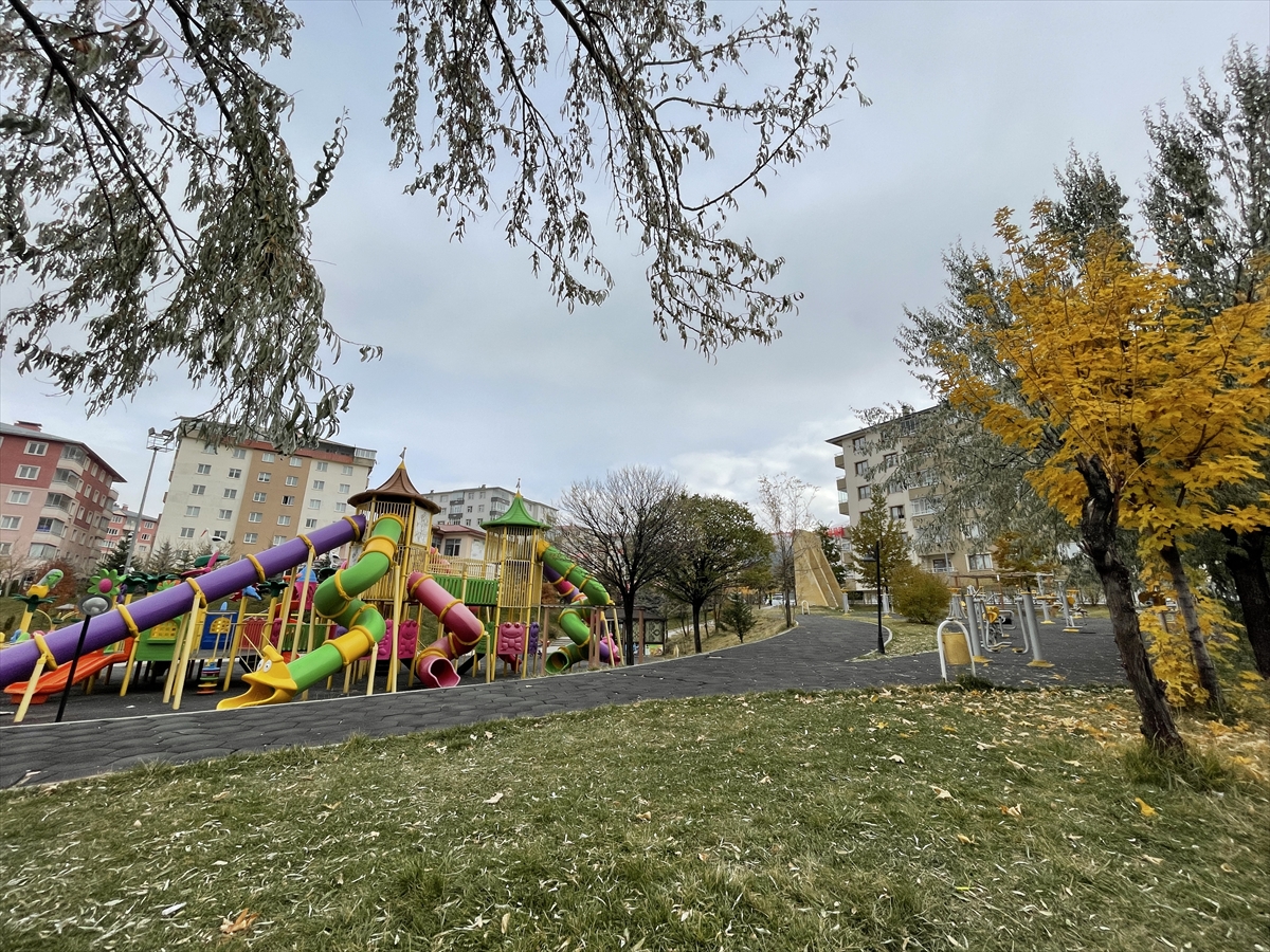 ERZURUM (AA) – Mardin'de çevre güvenliği kapsamında, 4 yıl önce