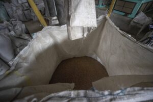 ODESSA (AA) – DAVİT KACHKACHİSHVİLİ – Rusya ile savaşın devam