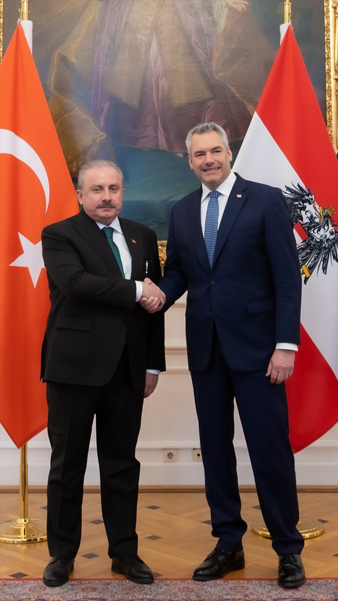 TBMM Başkanı Şentop, Avusturya Başbakanı Karl Nehammer ile görüştü: