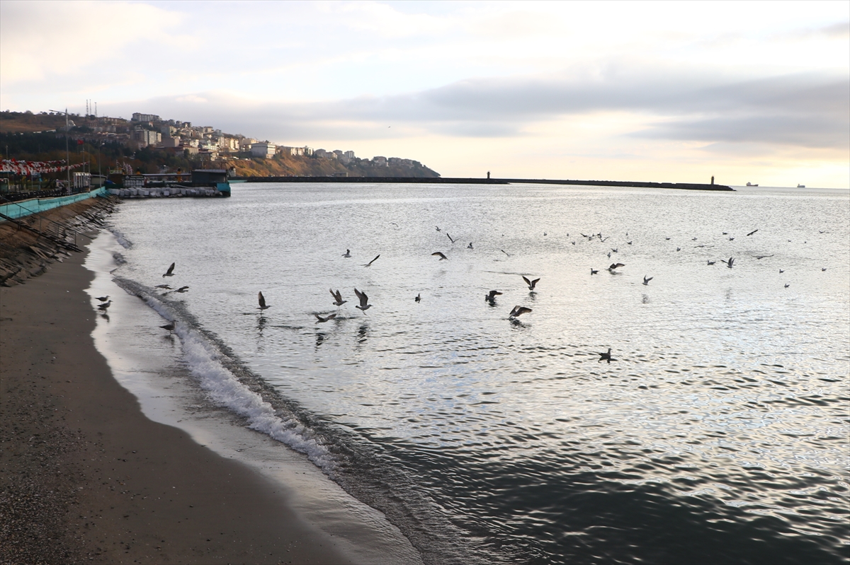 Tekirdağ'da deniz ulaşımı normale döndü