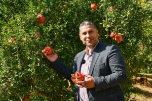 GAZİANTEP (AA) – Gaziantep'in Oğuzeli ilçesinde, tanelerinin iriliği nedeniyle "deve