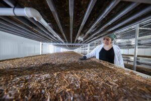 VAN (AA) – Van'ın Tuşba ilçesinde Tarım ve Kırsal Kalkınmayı