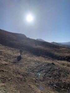 - İçişleri Bakanlığı, "Şehit Uzman Jandarma Çavuş Mustafa Bozkurt"un adı