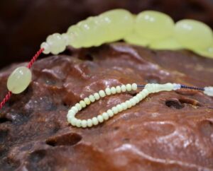 ADANA (AA) – Adana Valiliği himayesinde düzenlenen Tespih ve Doğal