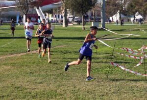 SAKARYA (AA) – Sakarya'da 14, 16 ve 18 yaş altı