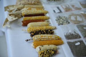 - "Enerji bir tasarım işidir. Önümüzdeki vizyon tamamen yeşil vizyon