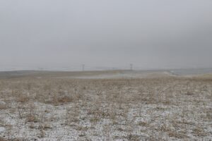 - Erzurum, Ardahan, Kars ve Ağrı'da kış koşulları günlük yaşamı