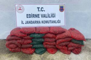 EDİRNE (AA) – Edirne'nin Enez ilçesinde toplanması ve satışı yasak