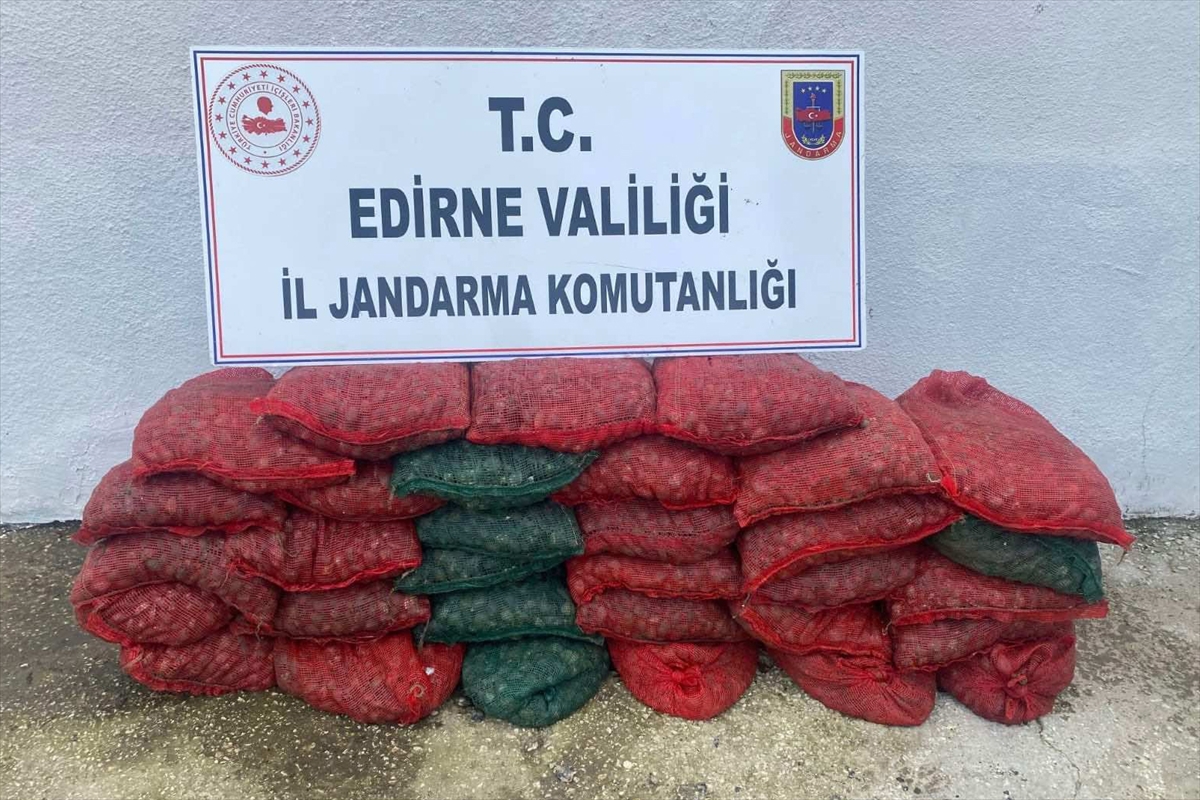Edirne'de 1 ton kum midyesi ile yakalanan 2 kişiye 297 bin lira ceza