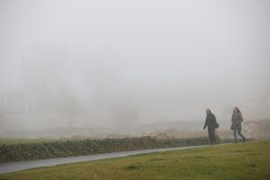 EDİRNE (AA) – Edirne'de sis nedeniyle görüş mesafesi 30 metreye