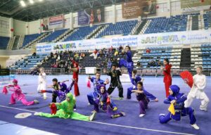 SAKARYA (AA) – Türkiye Wushu Kung Fu Federasyonunca Sakarya'da düzenlenen