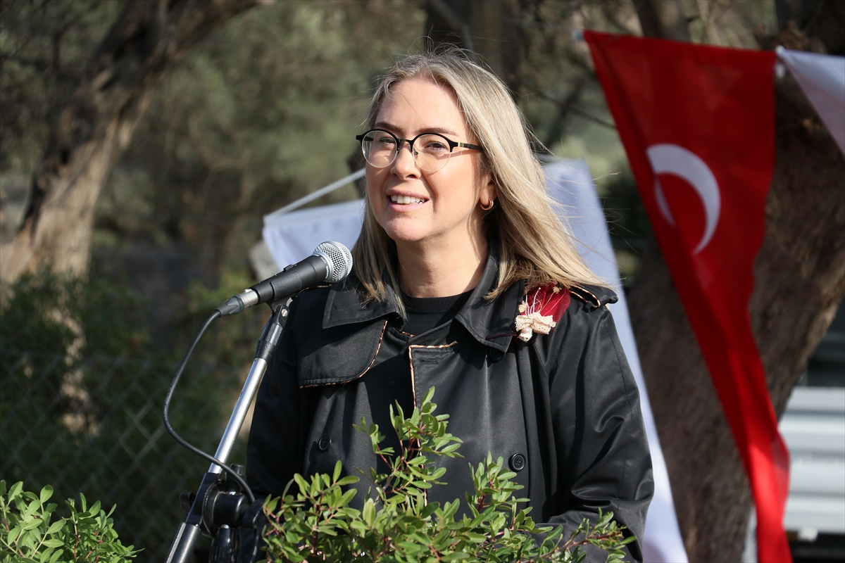 İzmir'de kadın girişimiyle kuraklığa dayanıklı sakız fidanları dikildi