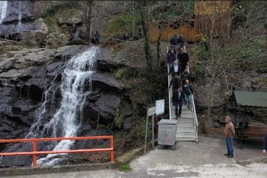 SAMSUN (AA) – Samsun'un Salıpazarı ilçesinde, aralık ayında sonbahar renklerinin