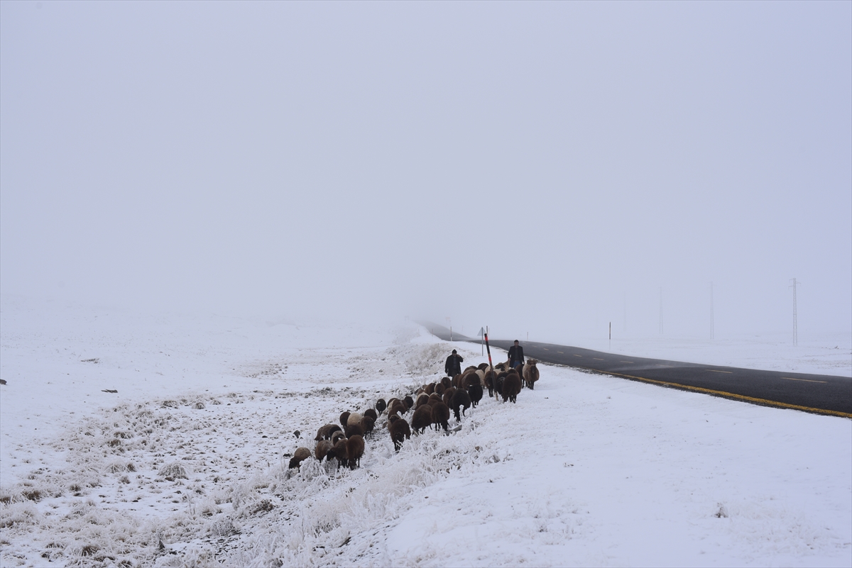 Kars'ta göçerlerin yayladan kar ve sis arasında zorlu dönüş yolculuğu başladı