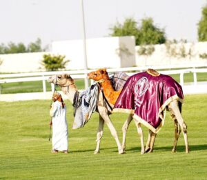 DOHA (AA) – Katar'ın başkenti Doha'da, ülkenin kültürel mirasını Körfez