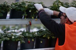 DÜZCE (AA) – ÖMER ÜRER – Düzce'de belediye tarafından kurulan