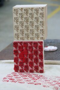 BOLU (AA) – MEHMET EMİN GÜRBÜZ/ELİF SARIHAN – Bolu'da meslek