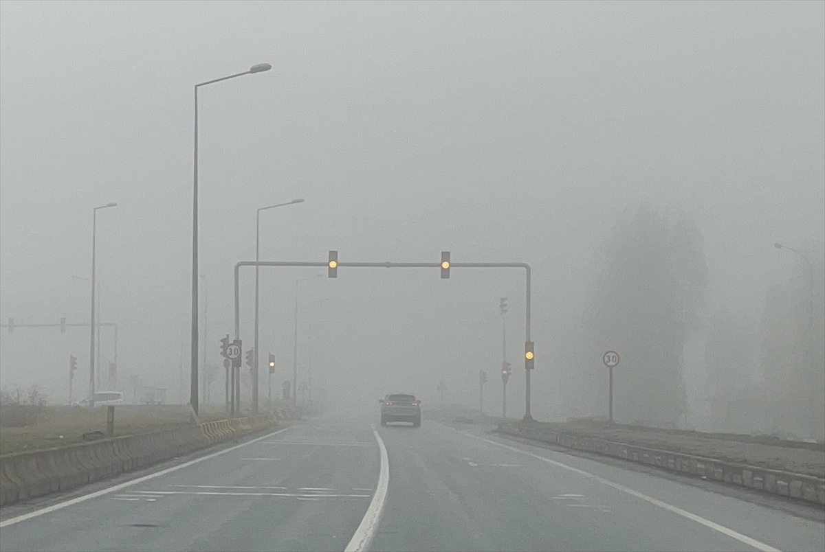MUŞ/HAKKARİ (AA) – Muş merkez, Hasköy ve Korkut ilçeleri ile